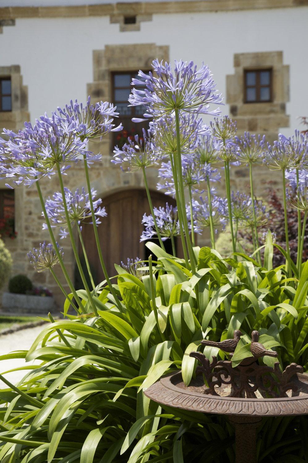 Casona De San Pantaleon De Aras Hotel Eksteriør billede